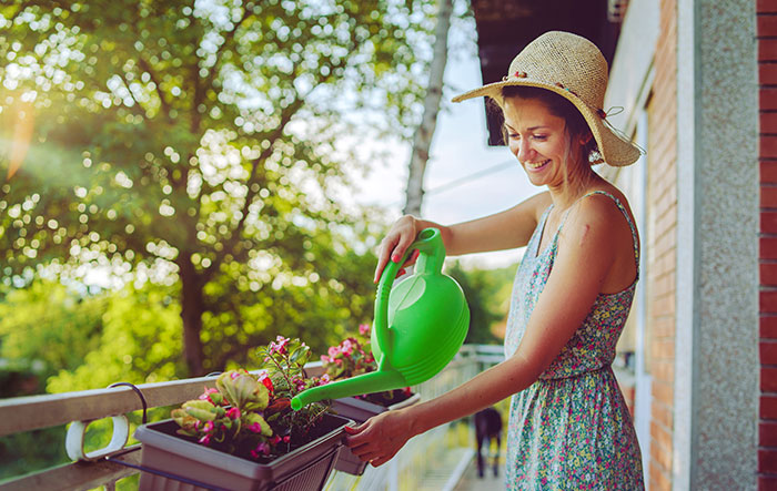 Watering cans are sometimes the best option. Don’t reinvent the wheel for quick watering tasks! 