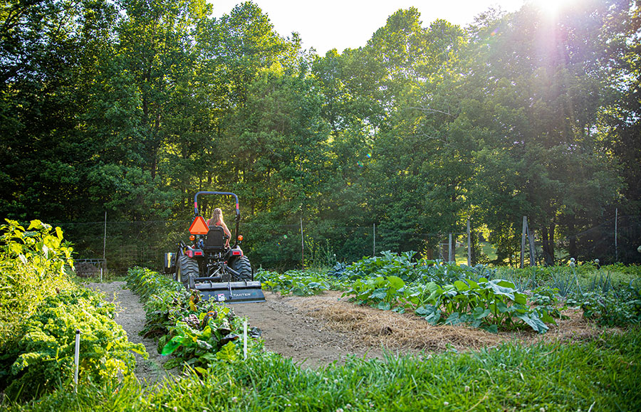 rototilling a garden