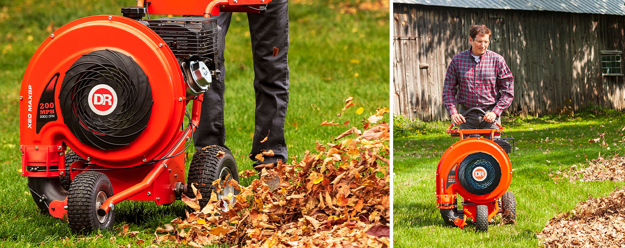 Shop Leaf Blowers