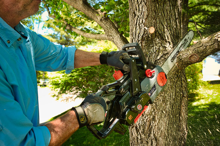 A man uses an electric chainsaw to saw a tree limb.