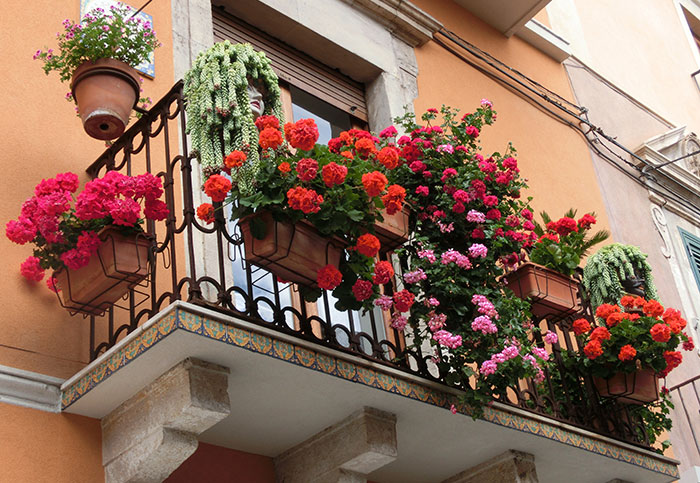 flowers growing in planters on a balcony