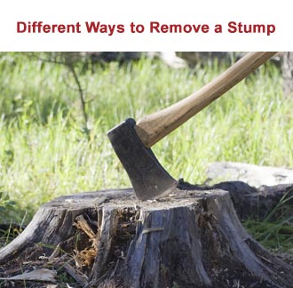 How to Remove a Stump