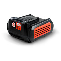 DR LiPRO  62-Volt Lithium Ion 2.5 Ah Battery Charger