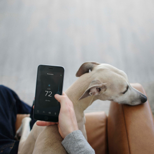 Ecobee3 Lite -Snow Tools Shop original