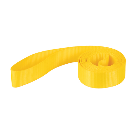 ERICKSON 2 in. x 8 ft. Endless Lift Sling