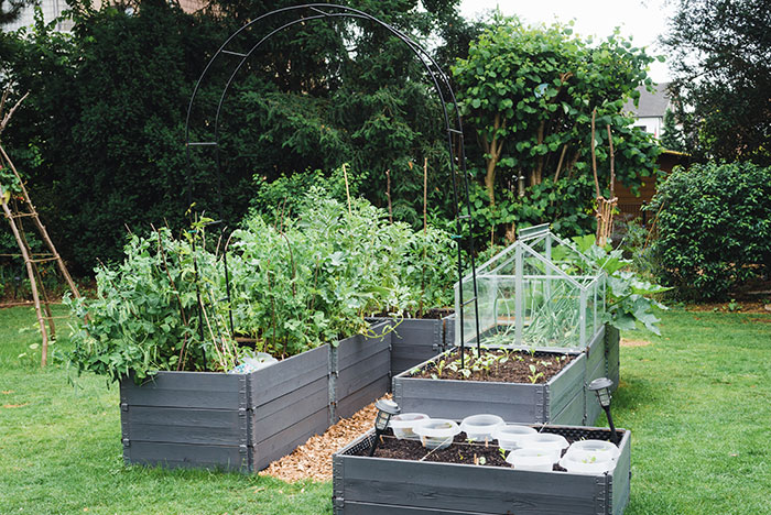 A large garden of raised beds and other accessories