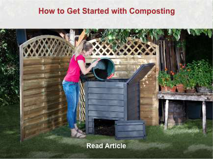 How to Get Started with Composting