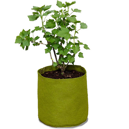 Haxnicks Vigoroot Medium Grow Bag 