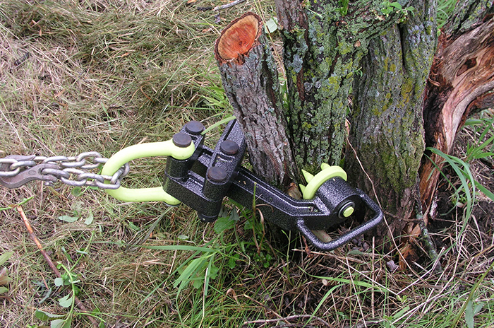 Brush grubber used to pull out sapplings.