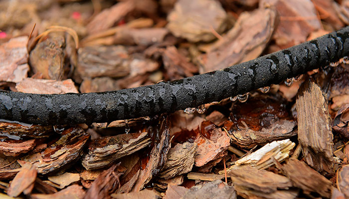 Lay a soaker hose in between plants for discrete and consistent watering right at their roots.
            