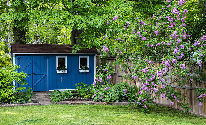 a non-portable shed