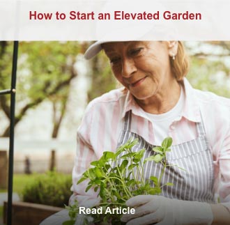 How to Start an Elevated Garden