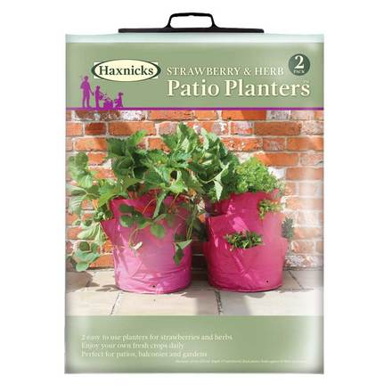 Haxnicks Strawberry & Herb Patio Planter