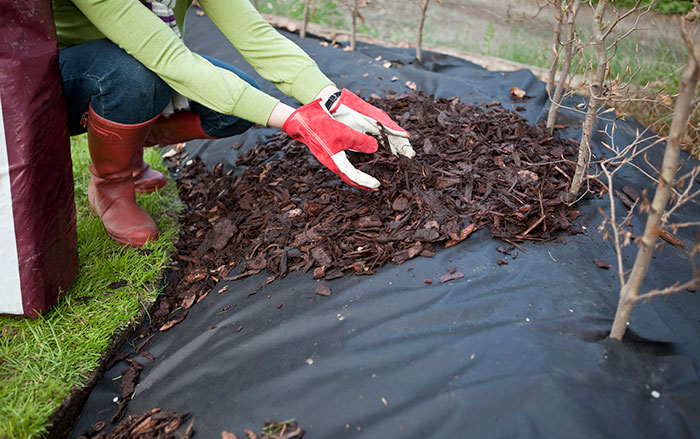 A simple barrier under your organic materials can reduce weeds significantly.
            