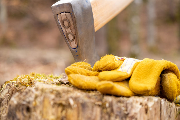 close up of axe in stump