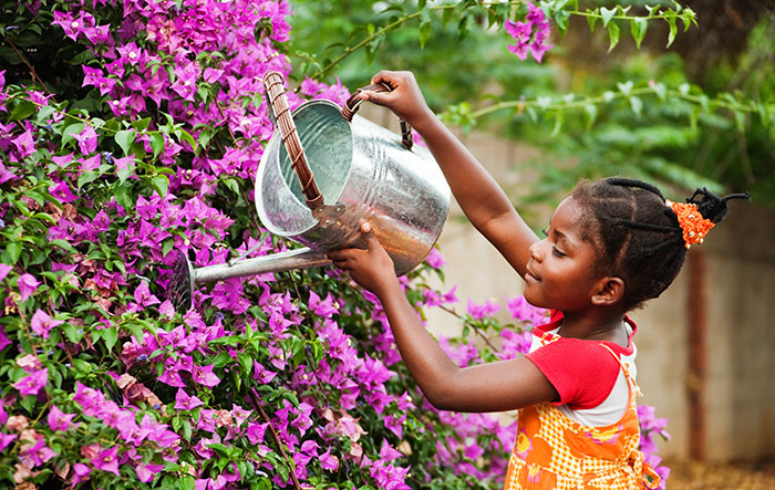 A young girl uses a watering can to water flowers