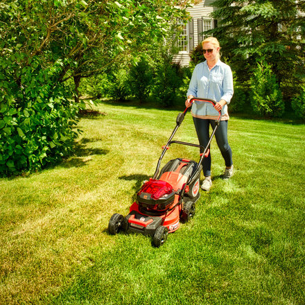 Choose The Best Lawn Mower 