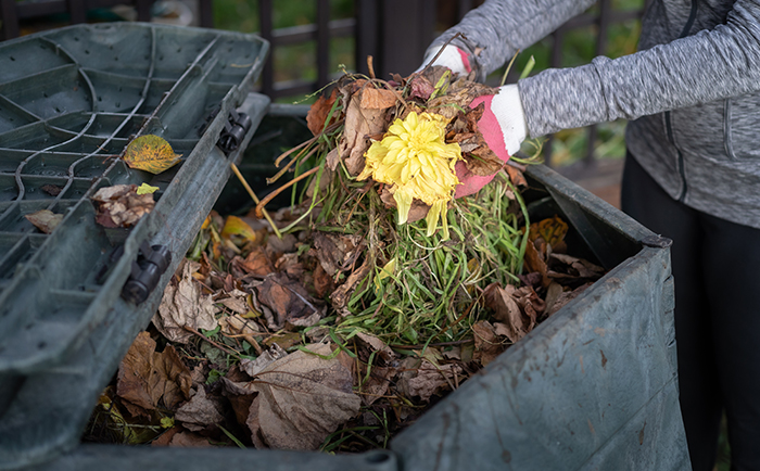 A person adds garden waste to a composter