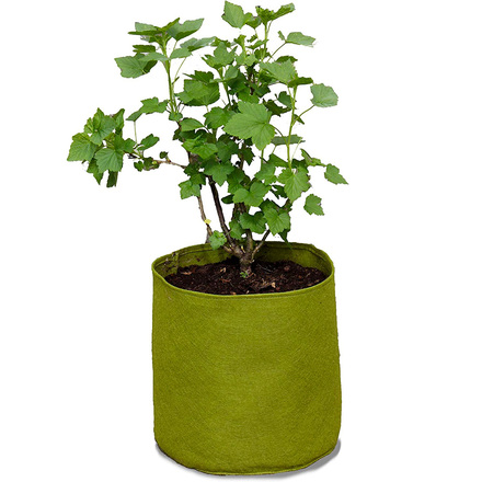 Haxnicks Vigoroot Large Grow Bag 