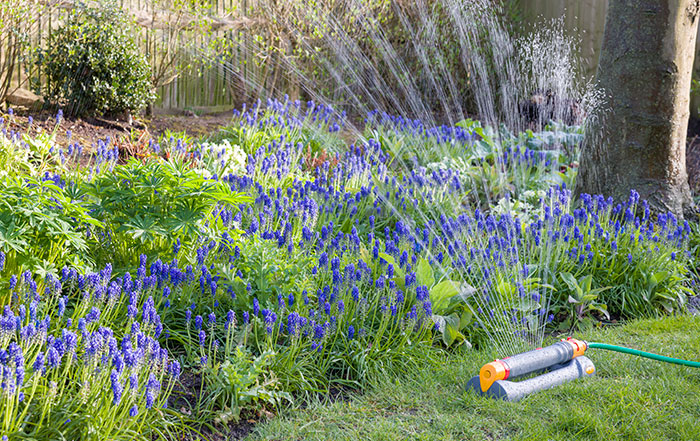 Bountiful gardens full of big blooms depend on the right watering solutions!