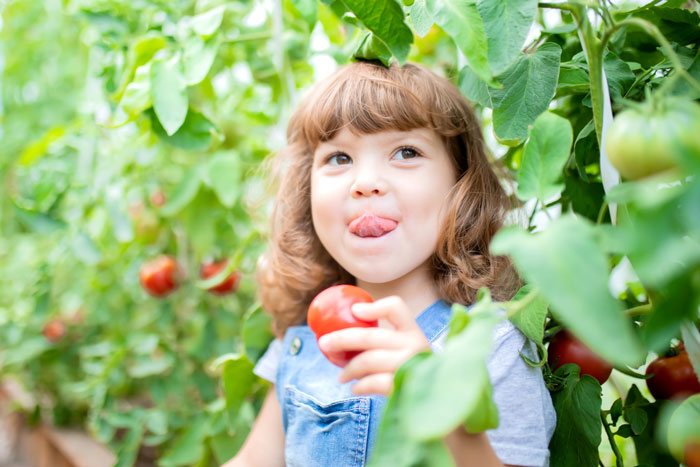 child in garden with tomato