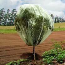 Haxnicks Fruit Tree Cover 13.1' X 13.1'