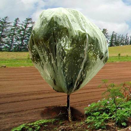 Haxnicks Fruit Tree Cover 13.1' X 13.1'