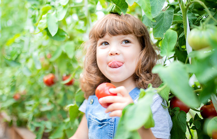 Keep your family safe by avoiding using chemicals near food.