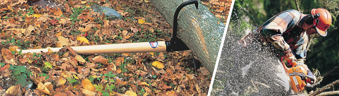 RAISED BED GARDENING Banner