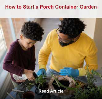 How to Start a Porch Container Garden