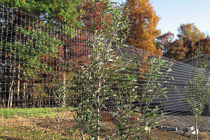 Portable garden fences come in all sizes to protect raised beds, trees, and other tall plants.