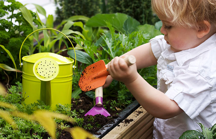 A young child uses a trowel