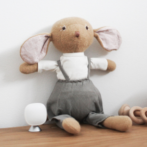 Ecobee Room Sensor 2pk -Snow Tools Shop original