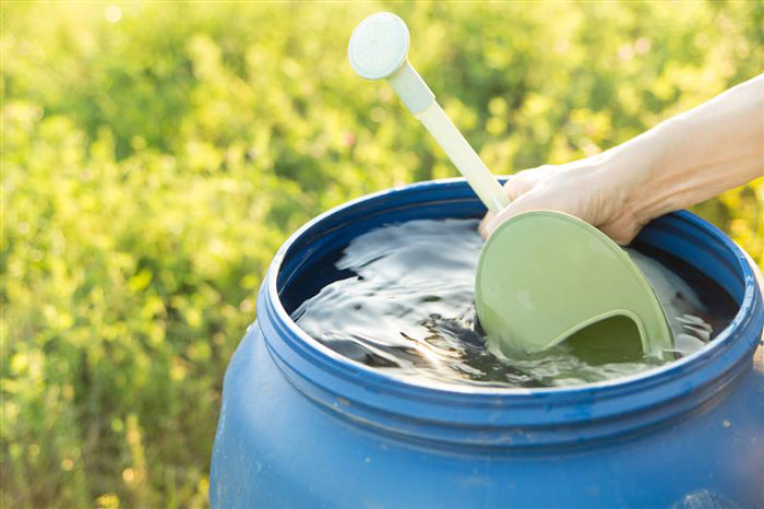 watering can filling from rain barrel close up