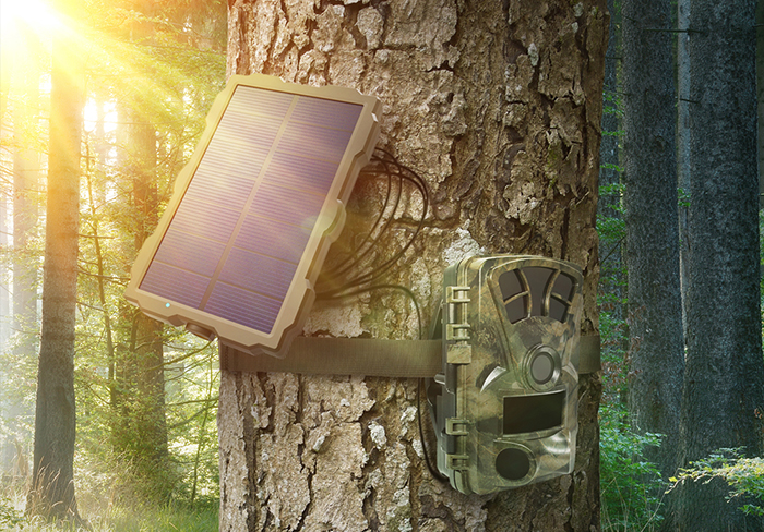 A trail camera with attached solar panel.