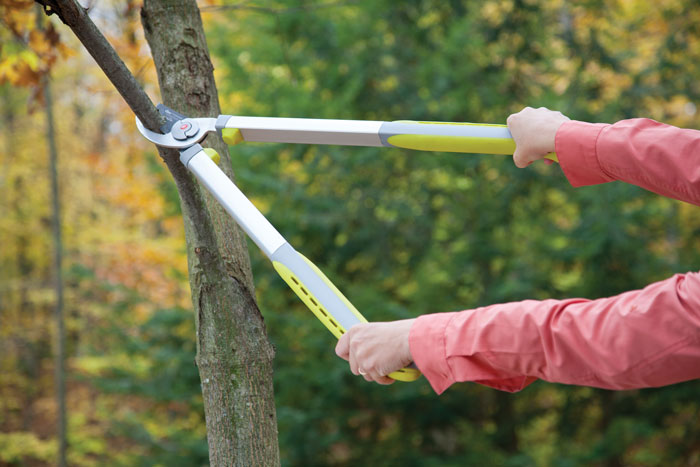 close up of lopper cutting tree branch