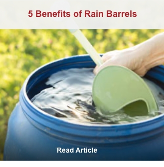 a watering can being filled up from the top of an open rain barrel