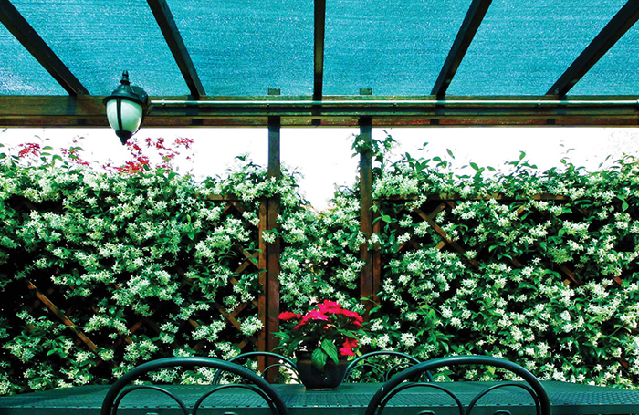 Outdoor seating areas decorated with flowers and vertical plants are perfect spots for shade screens.