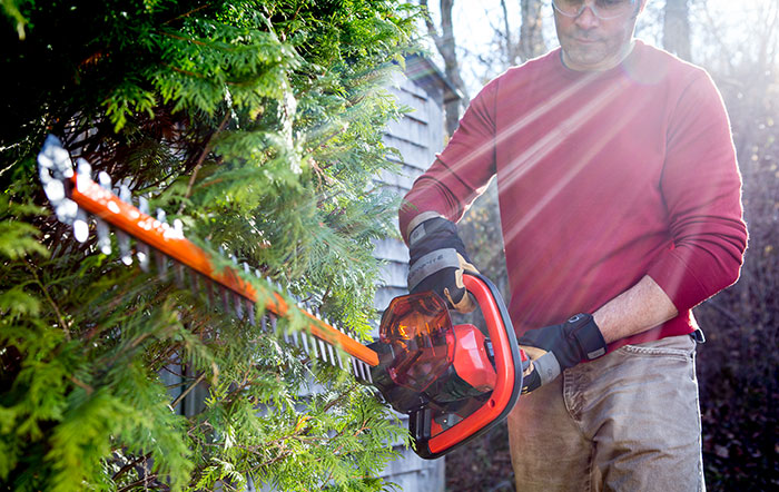 A cordless hedge trimmer in use.