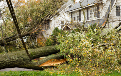 Storm Damage