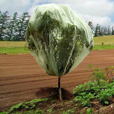 Haxnicks Fruit Tree Cover 6.6' X 6.6'