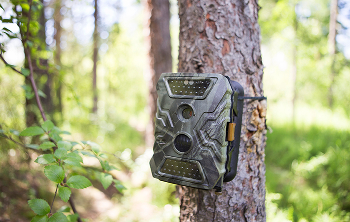a camouflaged trail camera attached to a tree