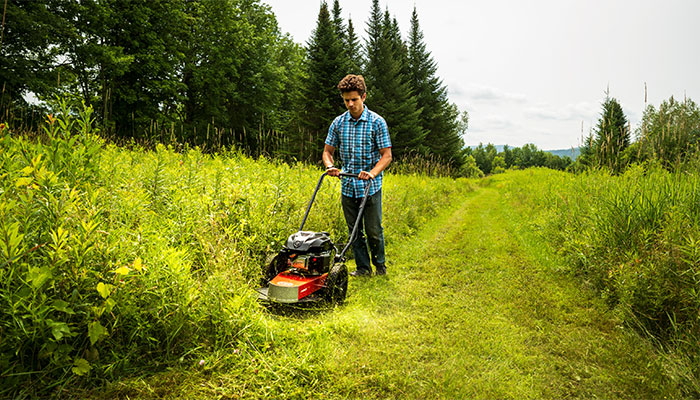 Using a string trimmer to mow tall grass.