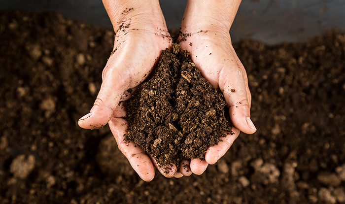 To keep your compost clean and healthy, always be mindful of what you put in the pile!