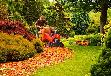 DR Walk-Behind Leaf Vacuums