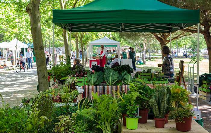 portable tents at a farmer's market.