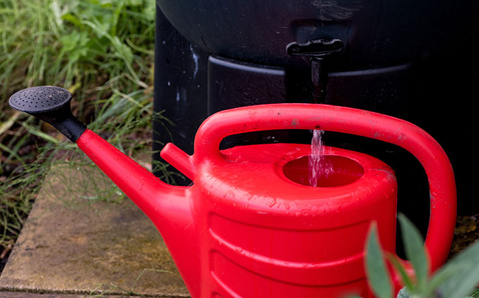 Rain barrels can be used for many different watering tasks and will help you save money on utilities.