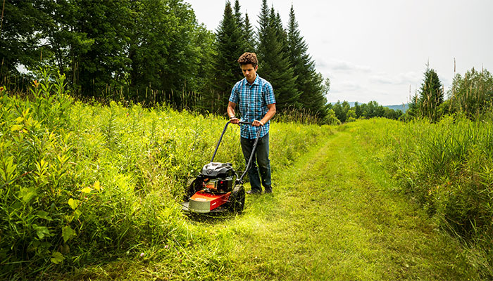 Lawn mower for online tall weeds